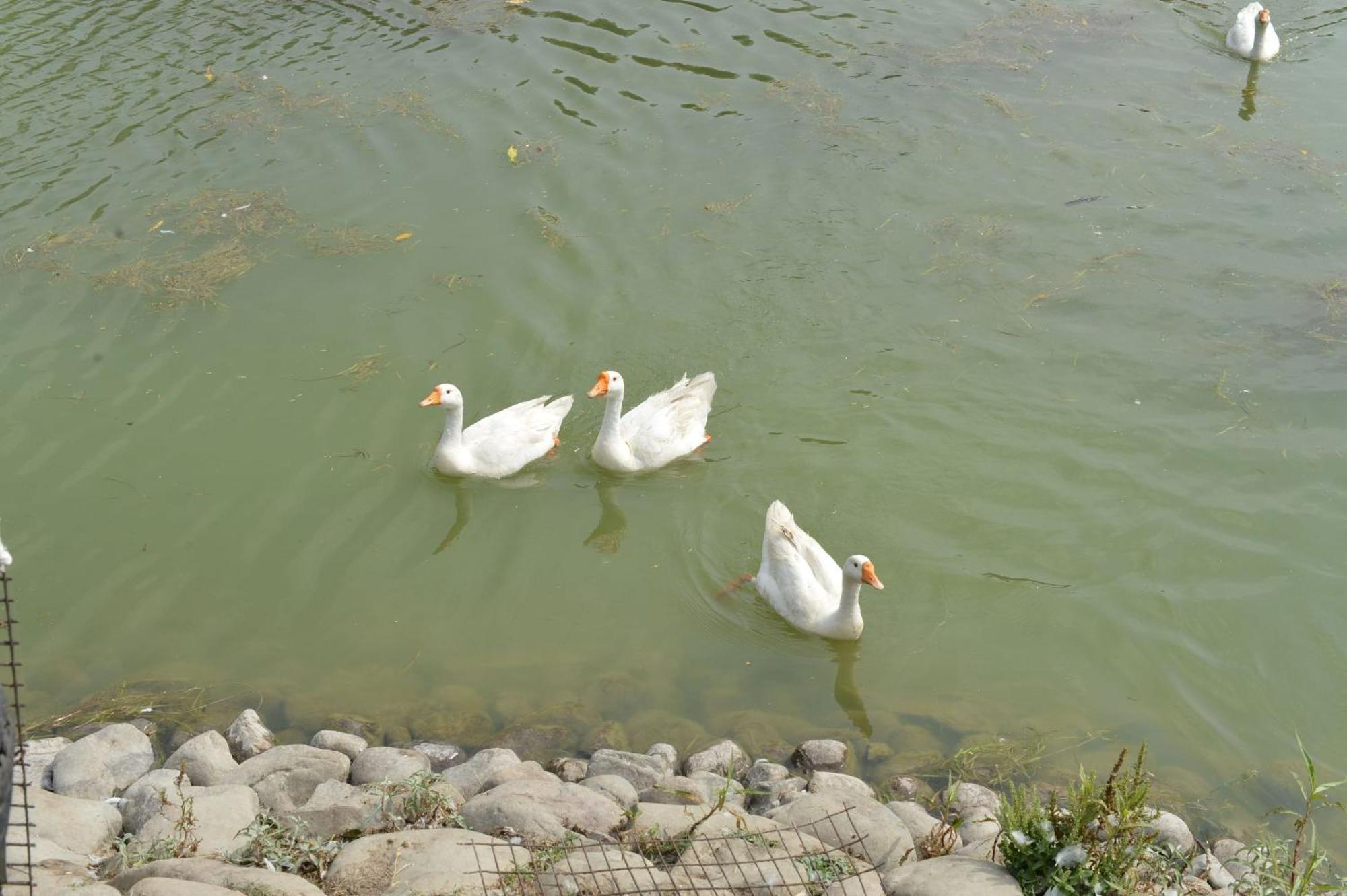 Karnāl Karna Lake Tourist Resort מראה חיצוני תמונה